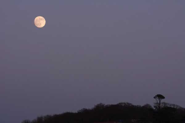 09 January 2020 - 16-23-10 
A full moon rise over Kingswear.
